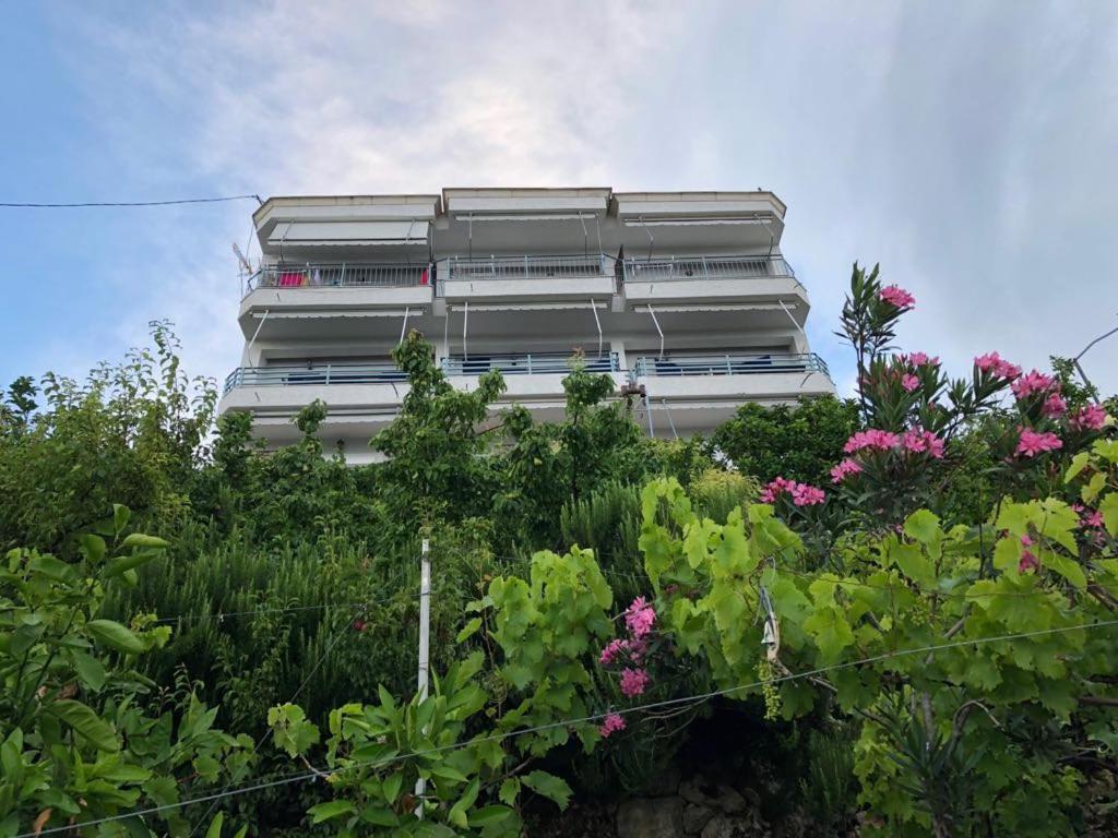 Family In Palase Dhermi Apartament
