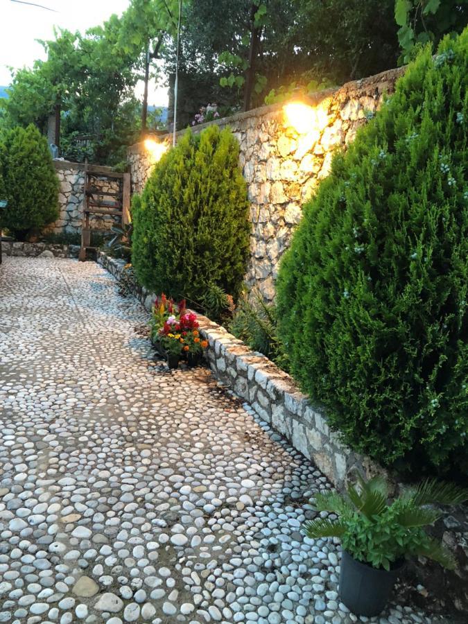 Apartament Family In Palase Dhermi